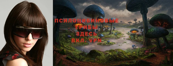 прущие крисы Аркадак