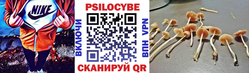маркетплейс как зайти  Болгар  Галлюциногенные грибы Psilocybine cubensis  MEGA ССЫЛКА 
